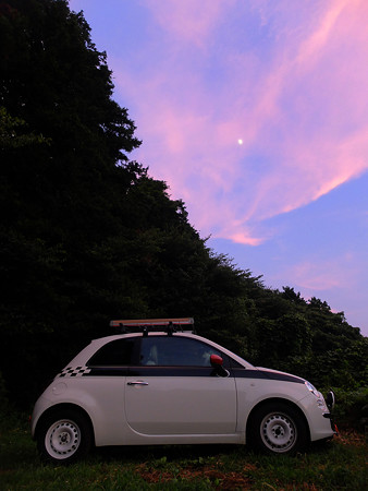 DSCF8654