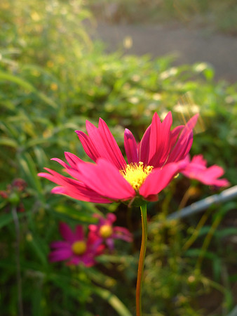 DSCF8893