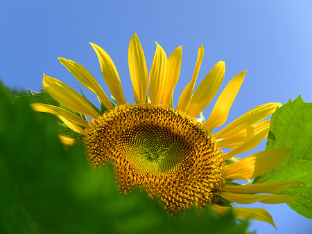 DSCF9106