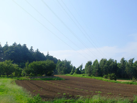 DSCF8982