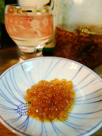DSCF0963