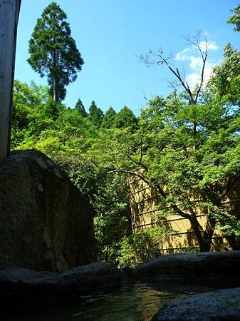 P1060368