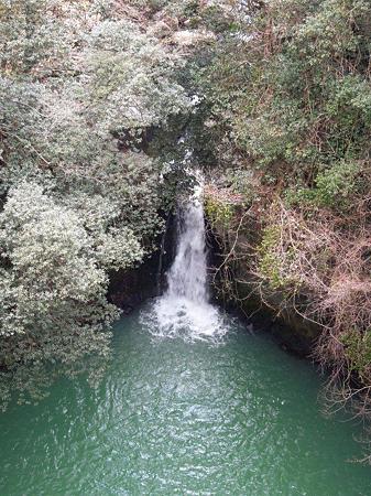 DSCN0418