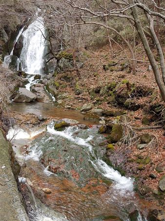 DSCN0571