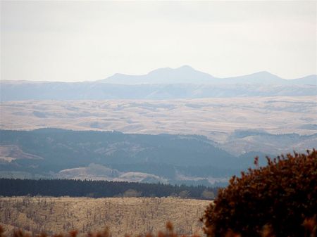 DSCN0626