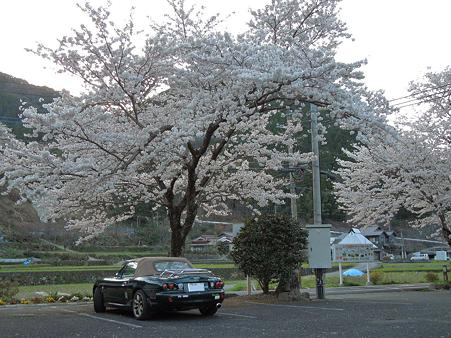 DSCN1806