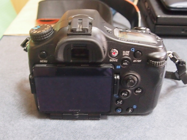 P8102398