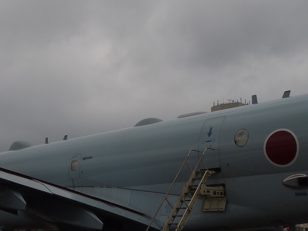 P9262483