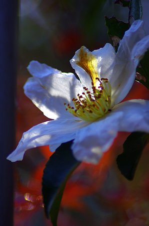 IMGP7025