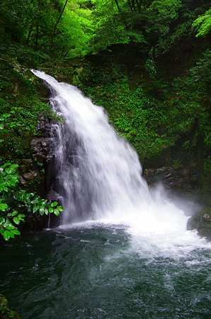 IMGP2175