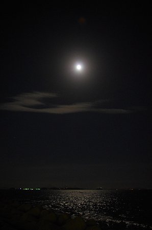 IMGP3117