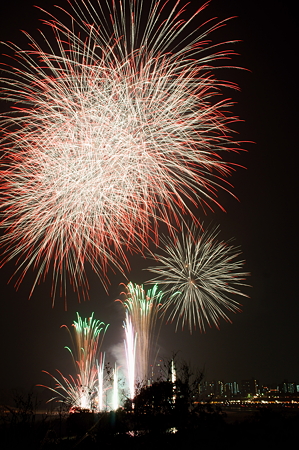 鮎祭り2011,8/12枚目