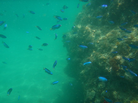 田子瀬浜海水浴場にて　６