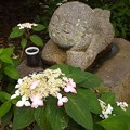 DSCF1485s-