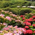 DSCF1601s-