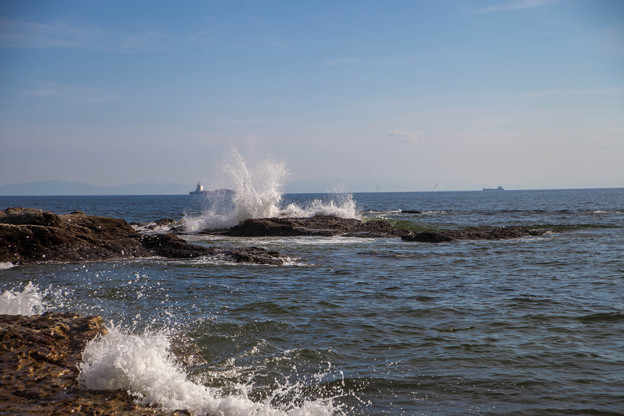 _MG_9817