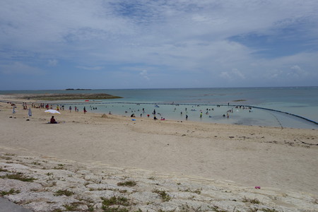 DSC02244