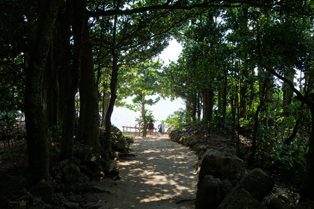 DSC02382