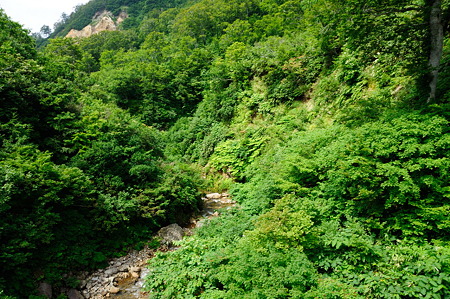 1108131228_DSC_6249