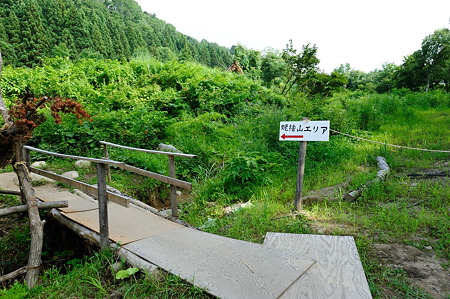 1108141542_DSC_6199