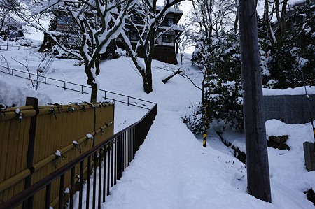 1101011337_DSC_6452