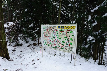1101021237_DSC_7194