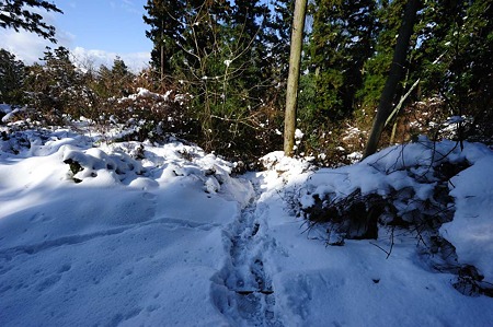 1101021303_DSC_7331