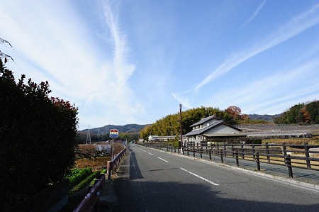 1101031041_DSC_7849