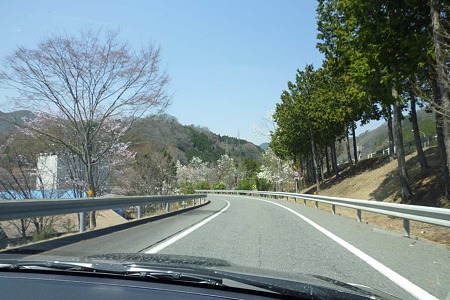 1104121232_P1740549