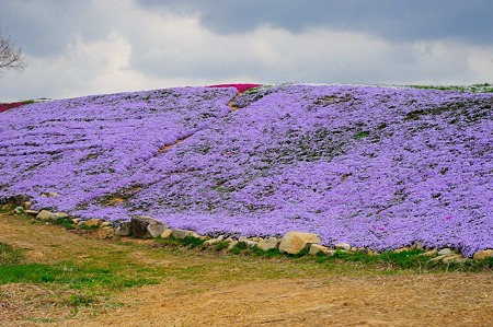 1104271015_DSC_9920