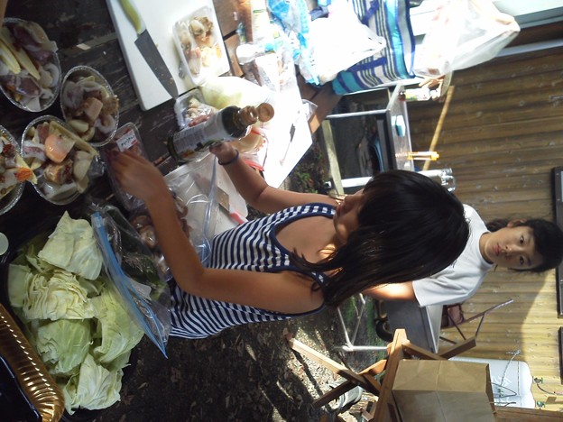 Photos: NEC_0011