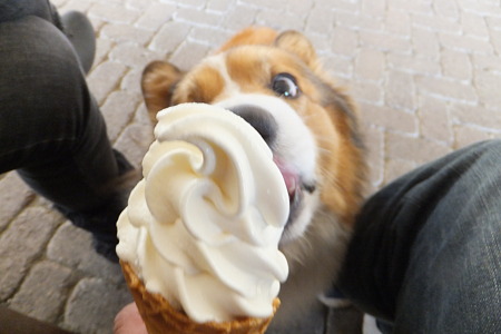 DSCF2200