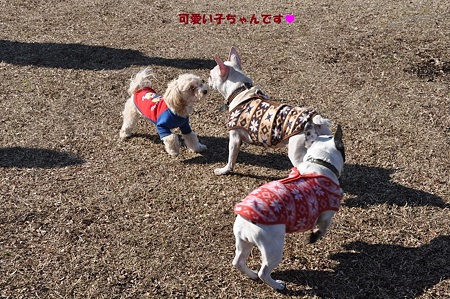 11_2_可愛い子ちゃん発見