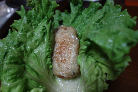 DSC04009
