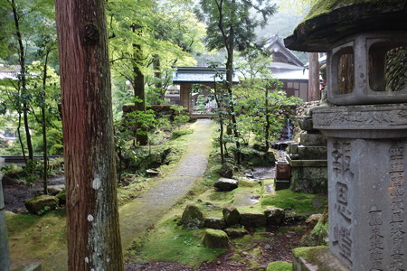 DSC04061