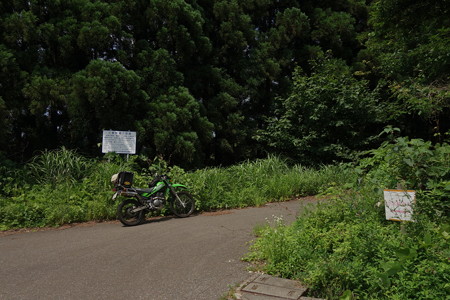 DSC04347