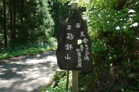 DSC04525