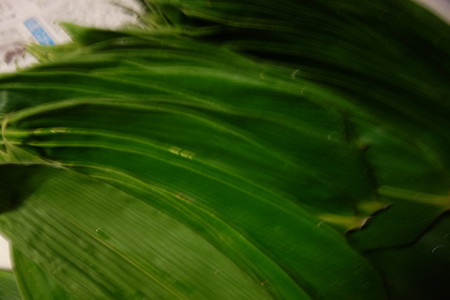 DSC04657