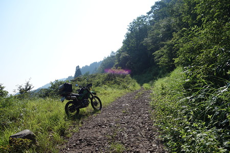 DSC04750
