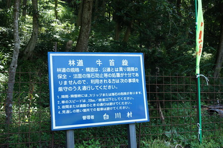 DSC04773