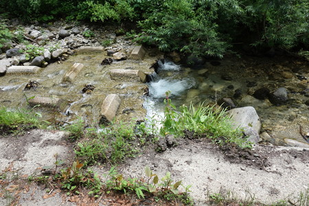 DSC04816
