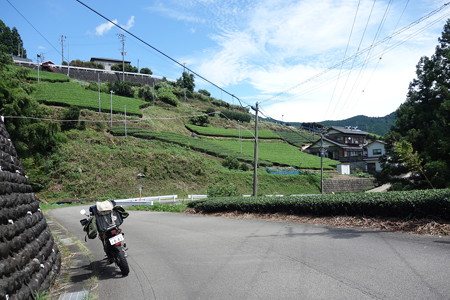 DSC04977