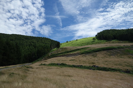 DSC05140