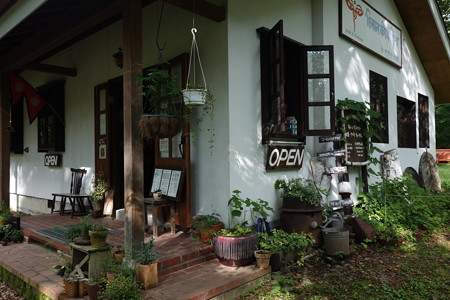 DSC05382