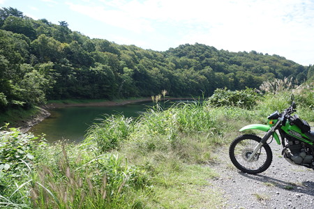 DSC05460