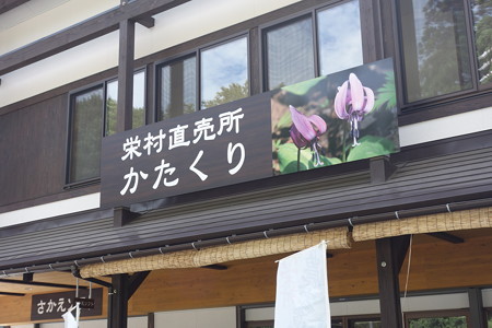 DSC05497