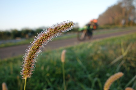 DSC05603
