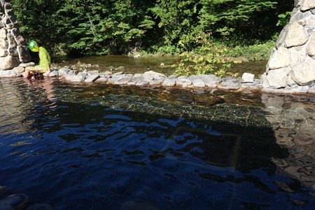 DSC05882