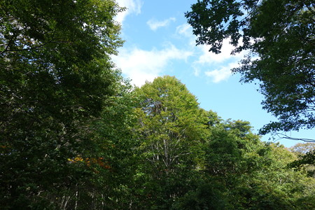 DSC06230
