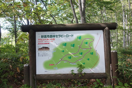 DSC06235